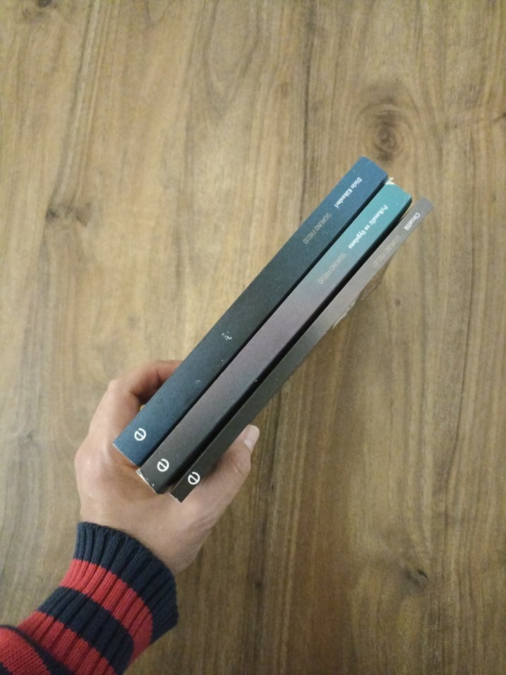 Sigmund Freud 3 Kitap Seti - Görsel 5