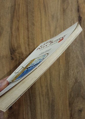 İnsan İsterse 2 - Mümin Sekman - Görsel 5