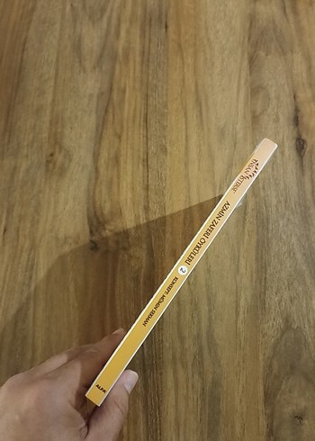 İnsan İsterse 2 - Mümin Sekman - Görsel 7