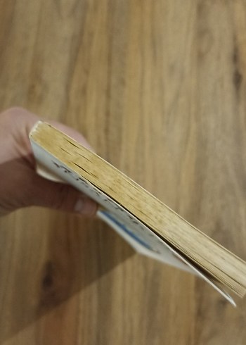 İnsan İsterse 2 - Mümin Sekman - Görsel 6