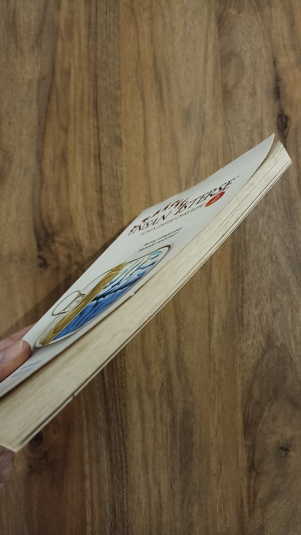 İnsan İsterse 2 - Mümin Sekman - Görsel 5