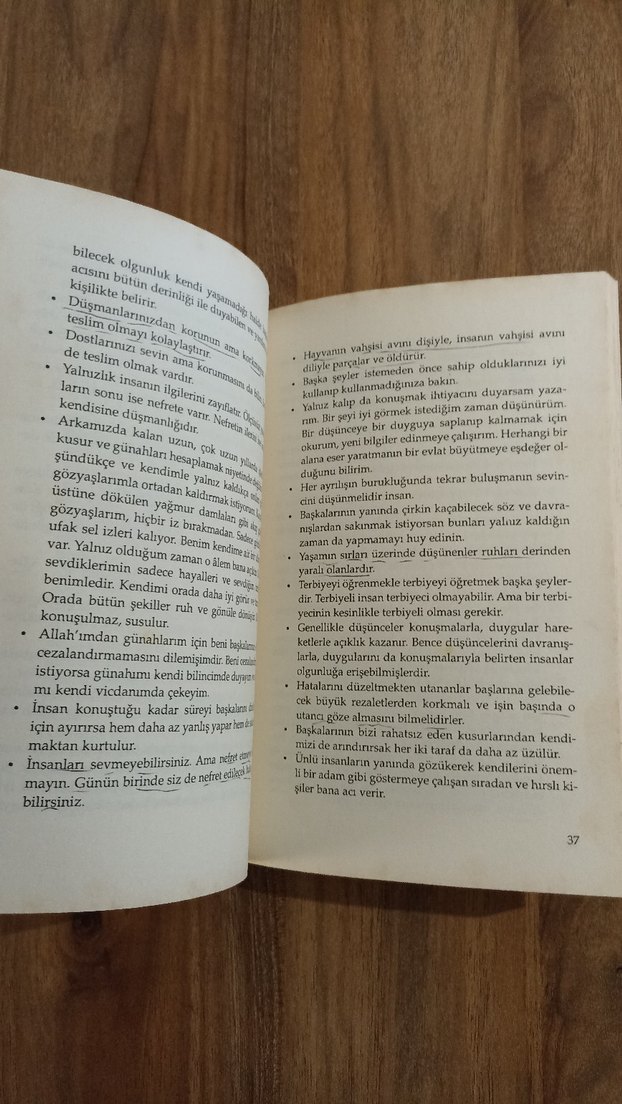 İnsan İsterse 2 - Mümin Sekman - Görsel 3