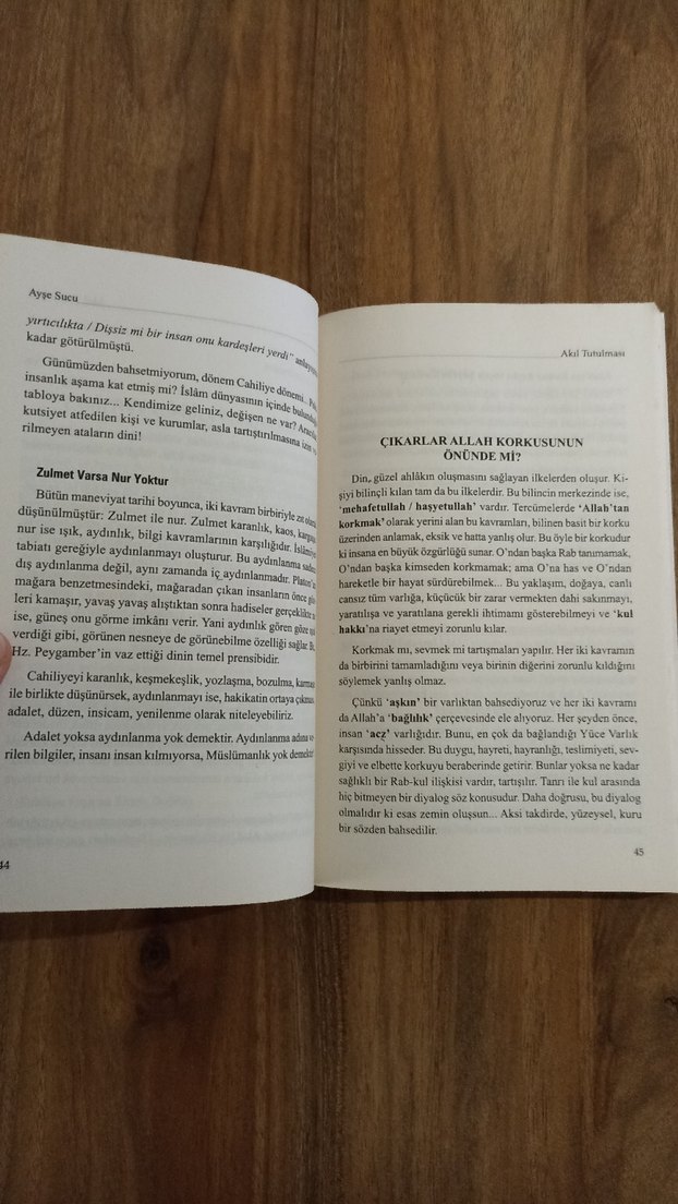 Akıl Tutulması - Ayşe Sucu - Görsel 3