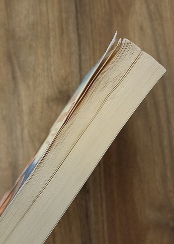 Ve Dağlar Yankılandı - Khaled Hosseini - Görsel 3