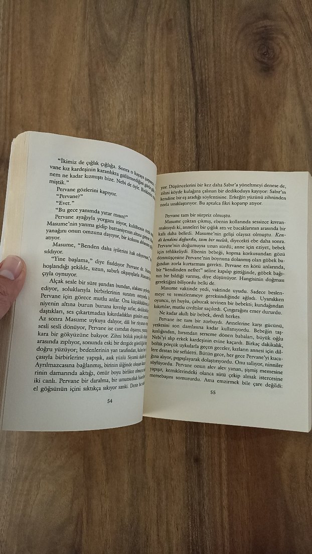 Ve Dağlar Yankılandı - Khaled Hosseini - Görsel 5