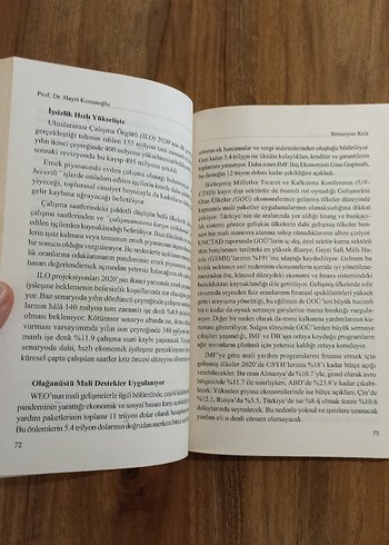 Bitmeyen Kriz - Şenol Çarık - Görsel 3