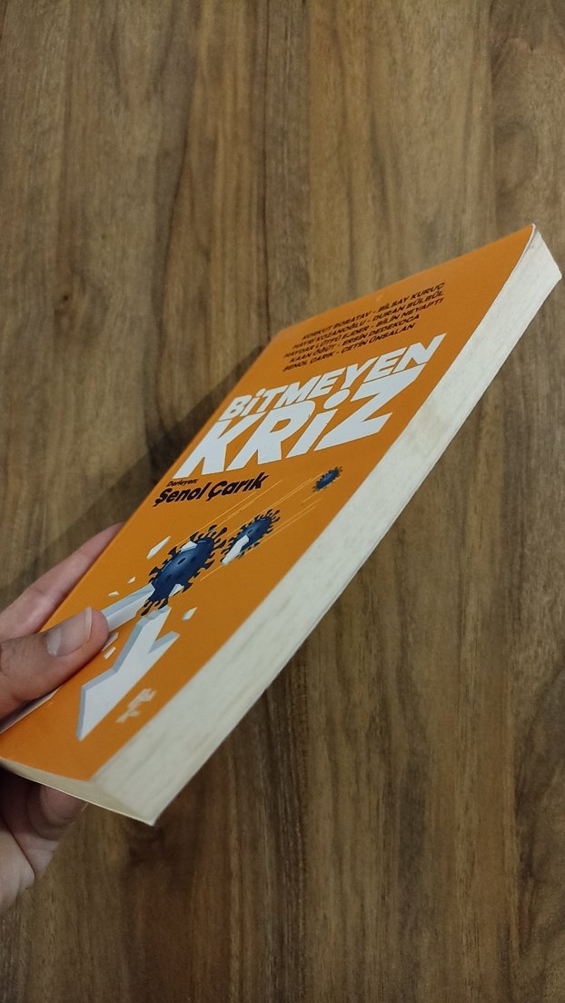 Bitmeyen Kriz - Şenol Çarık - Görsel 4