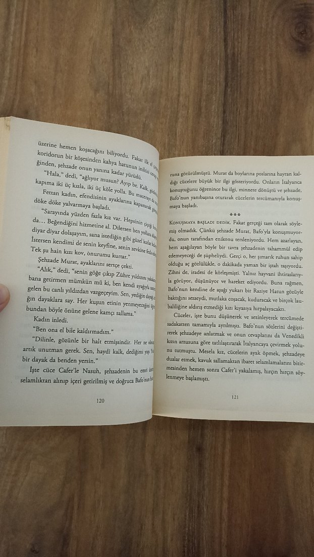 Safiye - Turhan Tan Romanı - Görsel 3