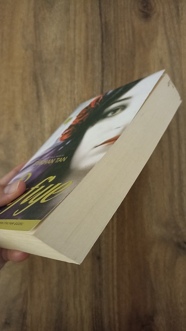 Safiye - Turhan Tan Romanı - Görsel 4