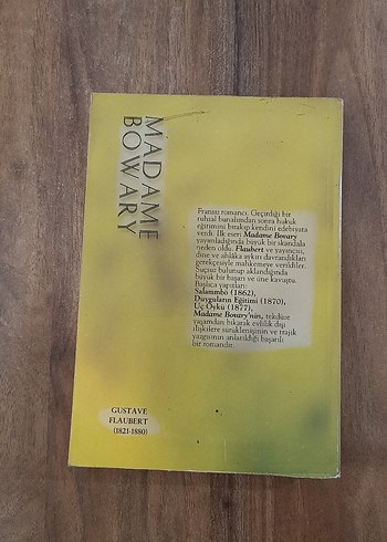 Madame Bovary - Gustave Flaubert - Görsel 2