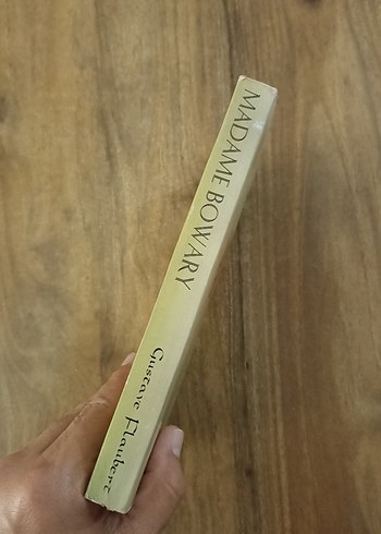 Madame Bovary - Gustave Flaubert - Görsel 5
