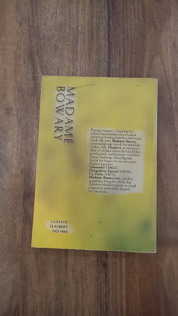 Madame Bovary - Gustave Flaubert - Görsel 2