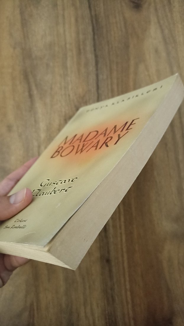 Madame Bovary - Gustave Flaubert - Görsel 4