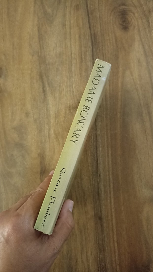 Madame Bovary - Gustave Flaubert - Görsel 5