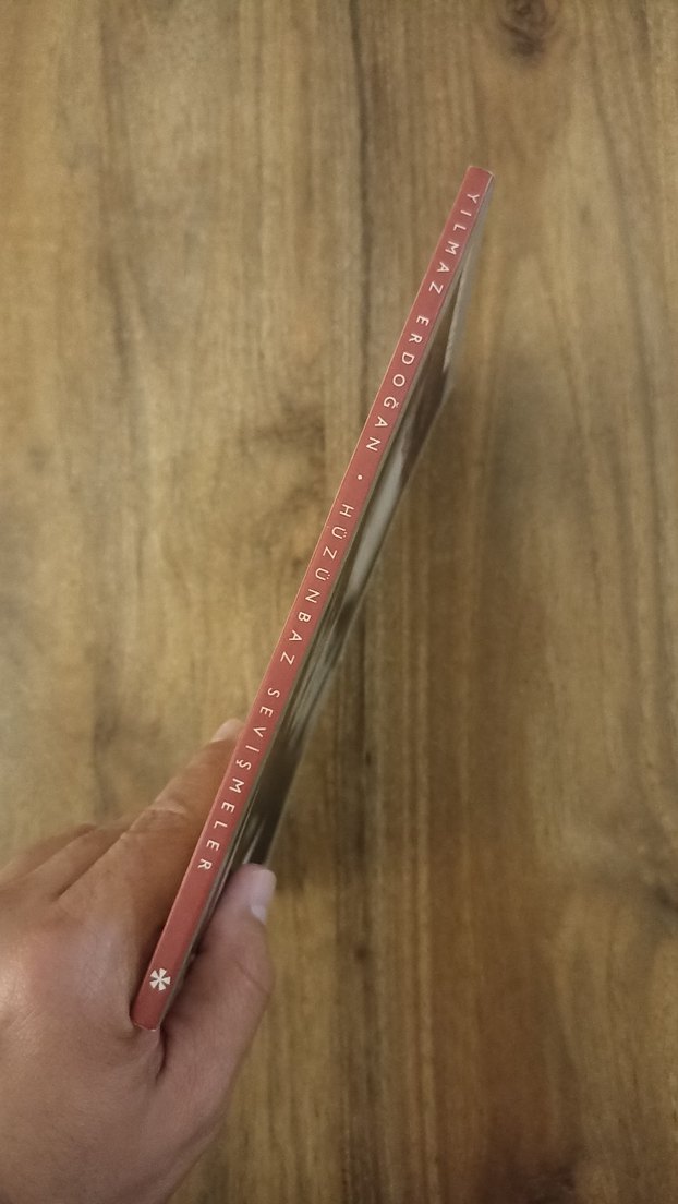 Hüzünbaz Sevişmeler - Yılmaz Erdoğan - Görsel 4