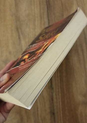 Pegasus Sırrı - Gregg Loomis - Görsel 4