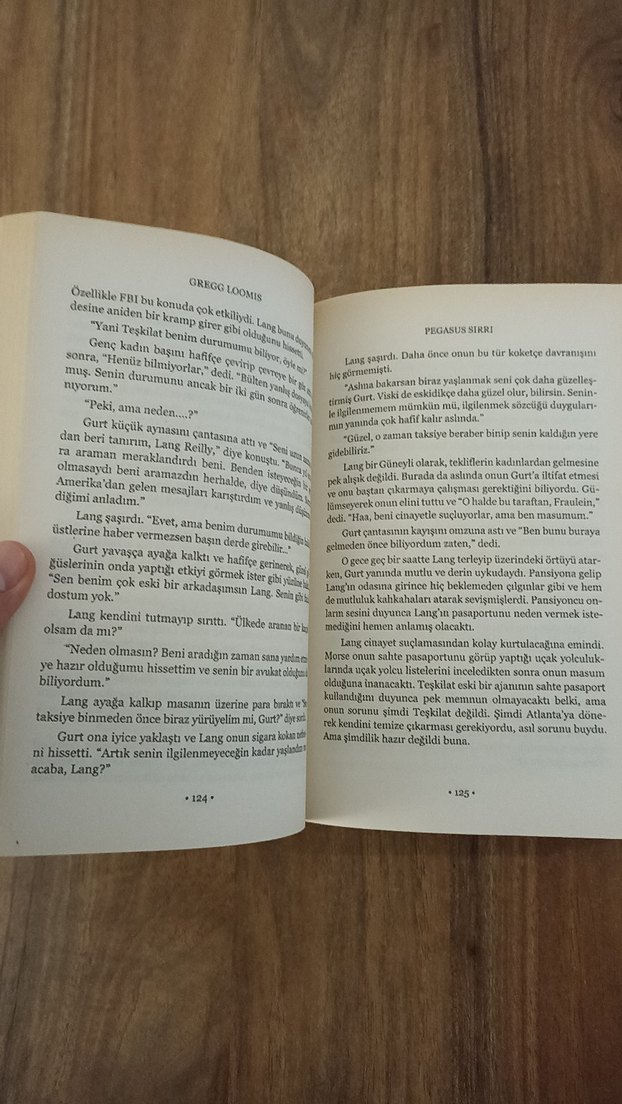 Pegasus Sırrı - Gregg Loomis - Görsel 3