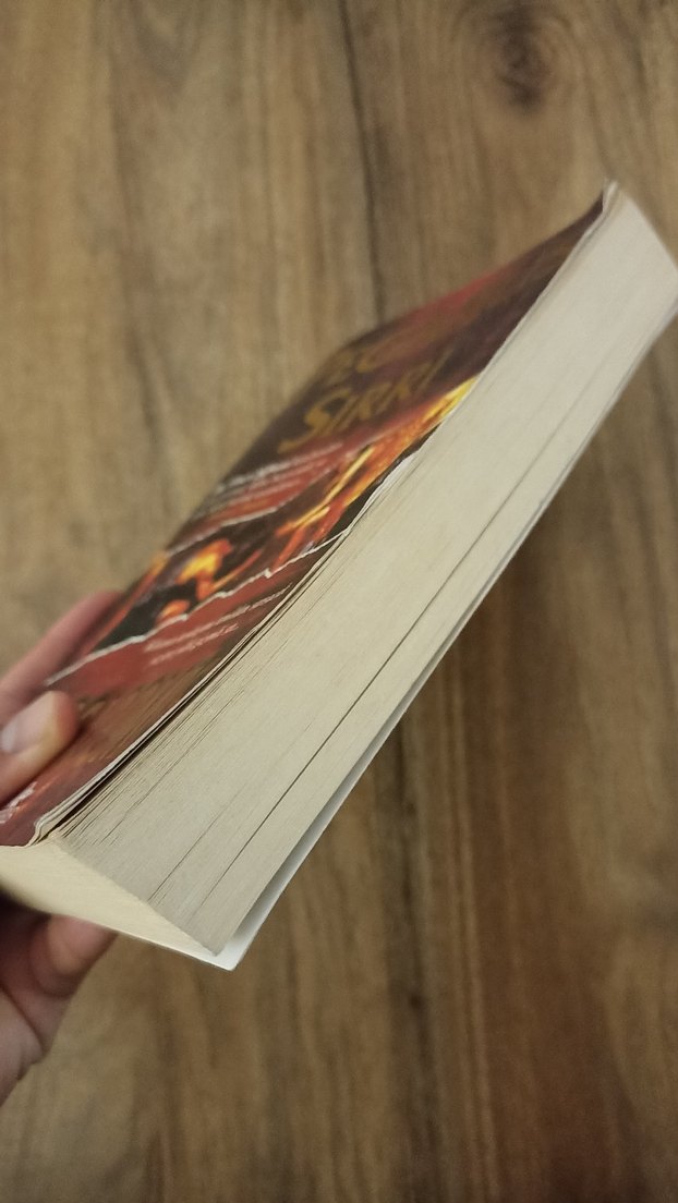 Pegasus Sırrı - Gregg Loomis - Görsel 4