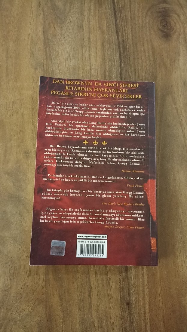 Pegasus Sırrı - Gregg Loomis - Görsel 2