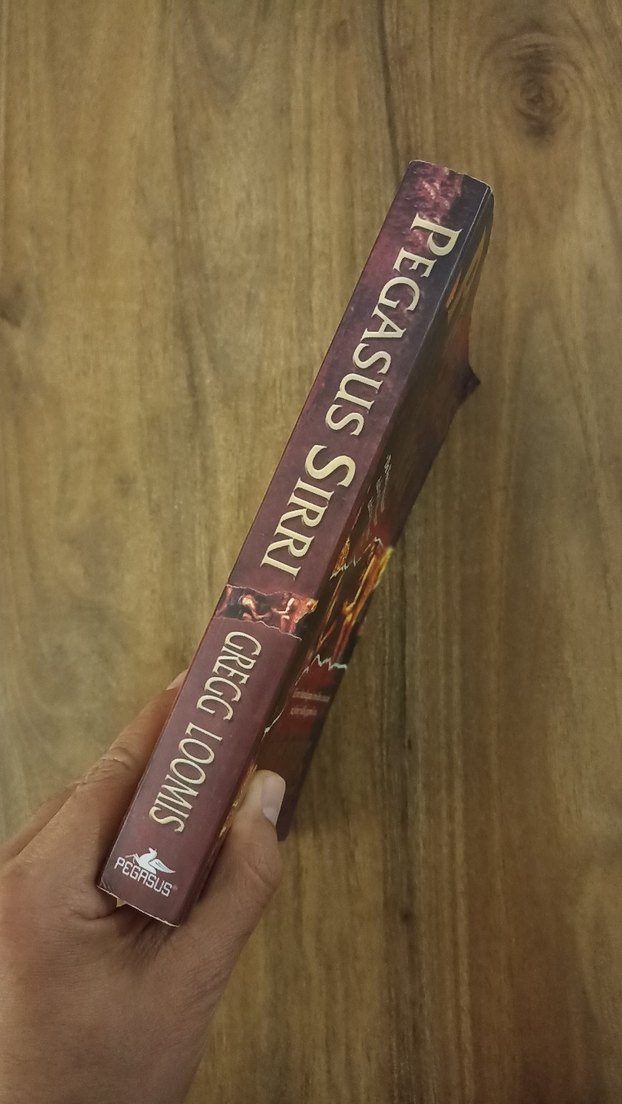 Pegasus Sırrı - Gregg Loomis - Görsel 5