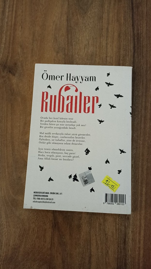 Ömer Hayyam - Rubailer - Görsel 2