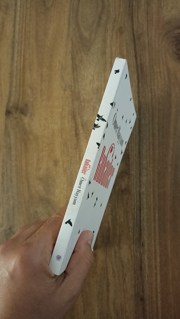 Ömer Hayyam - Rubailer - Görsel 5