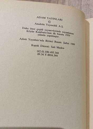 Beden Renk Köyün Kamburu - Kemal Tahir