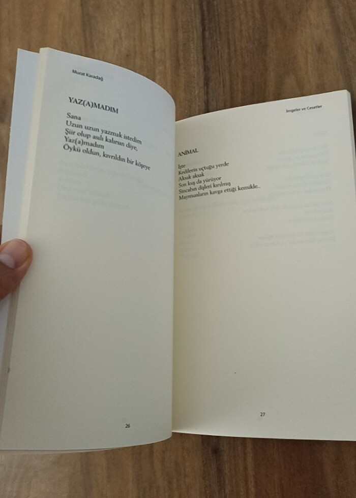 İmgeler ve Cesetler - Murat Karadağ  - Görsel 2