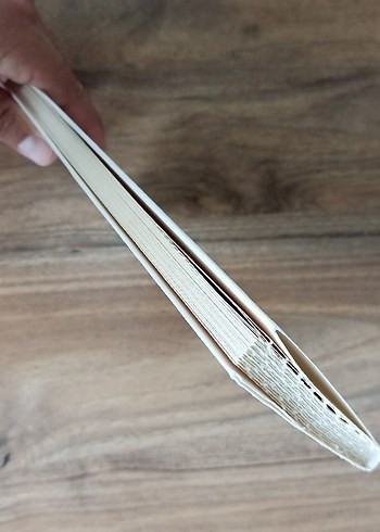 Selma Gürbüz İçin Üç Yazı - Ferit Edgü - Görsel 4