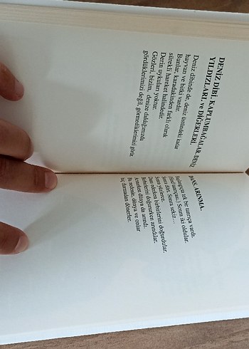 Selma Gürbüz İçin Üç Yazı - Ferit Edgü - Görsel 3