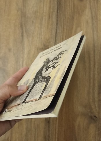 Beden Renk Eros'un Istırabı - Byung-Chul Han Kitabı