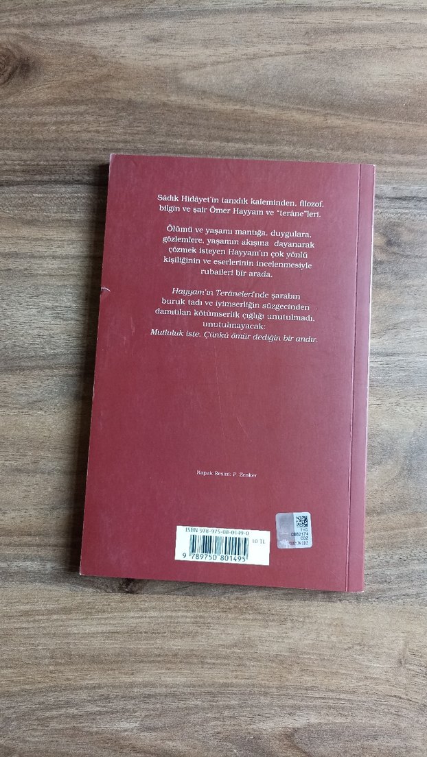 Hayyam'ın Teraneleri - Sadık Fidayet - Görsel 2