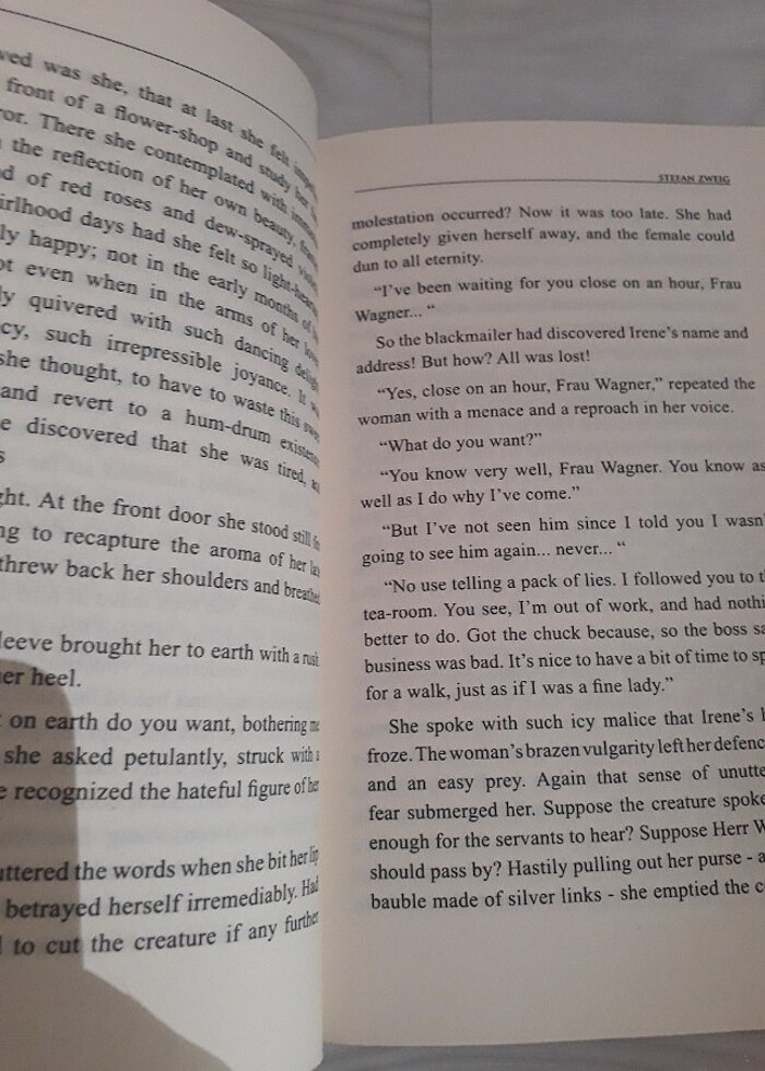 Stefan Zweig- Fear(Korku) İngilizce Roman - Görsel 2