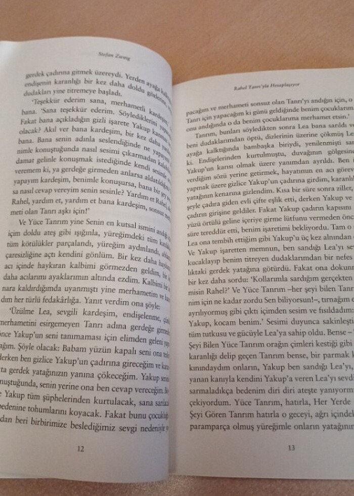 Stefan Zweig-Rahel Tanrı'yla Hesaplaşıyor - Görsel 2