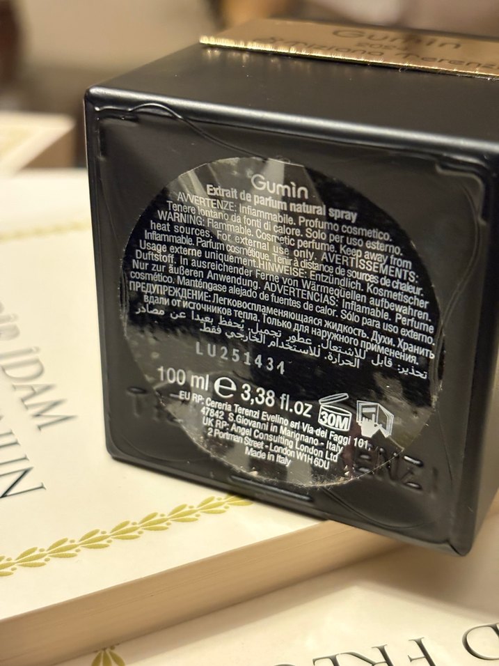 TIZIANA TERENZI - Görsel 3