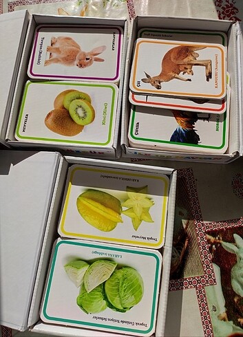Fisher Price Çocuk zeka kartları