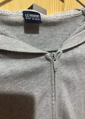 Erkek Gri Kapüşonlu Fermuarlı Hırka - Görsel 3