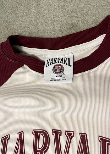 Bordo-Krem Harvard Baskılı Erkek Tişört - Görsel 3
