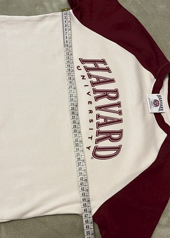 Bordo-Krem Harvard Baskılı Erkek Tişört - Görsel 4