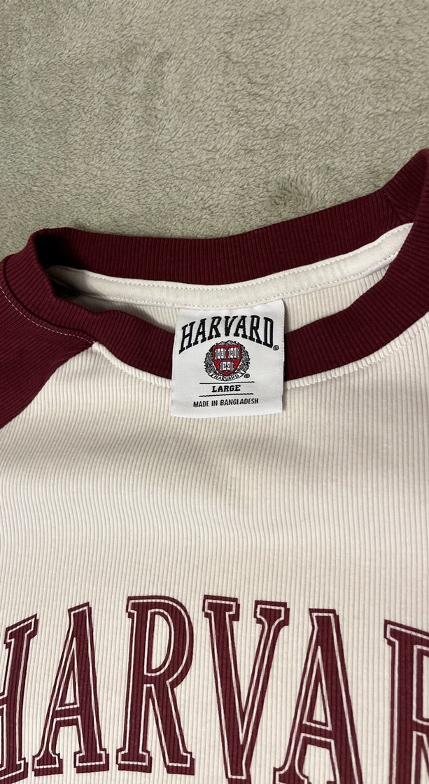 Bordo-Krem Harvard Baskılı Erkek Tişört - Görsel 3