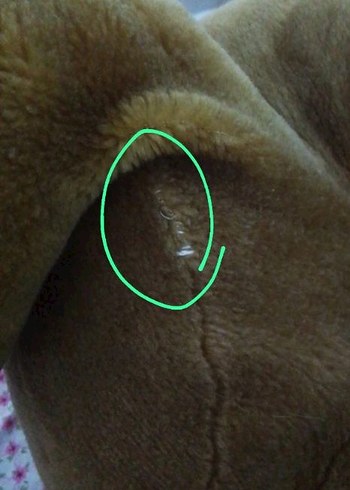 Kahverengi Yumuşak Aslan Peluş Oyuncak - Görsel 6