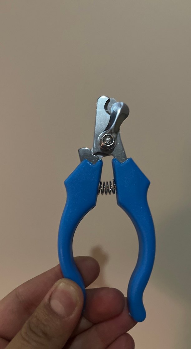 Mavi Renkli Kedi Tırnak Makası - Görsel 3