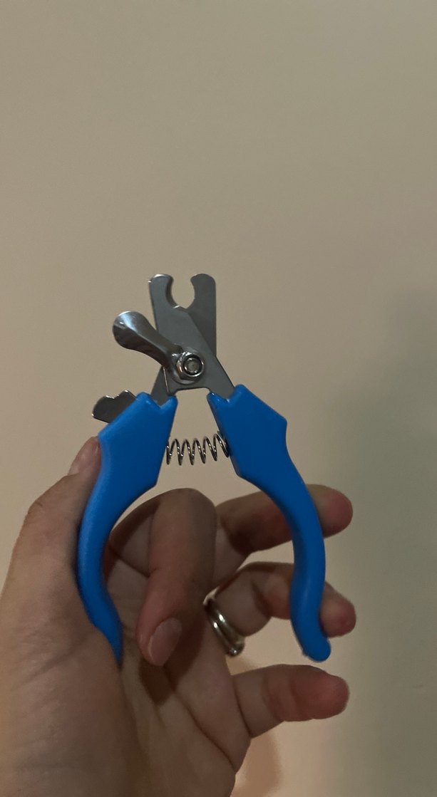 Mavi Renkli Kedi Tırnak Makası - Görsel 2