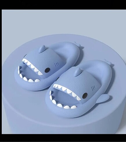 Shark terlik