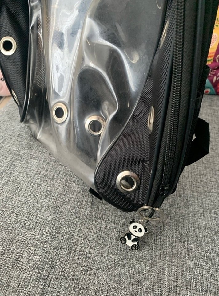 Şeffaf Ön Paneliyle Siyah Taşıma Çantası - Görsel 3