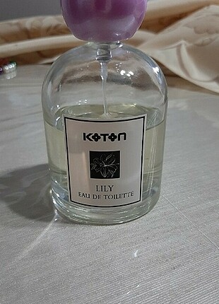 Koton bayan parfum6