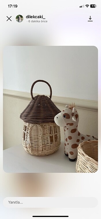 Rattan mantar ev
