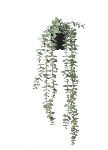 Ikea okaliptüs yapay sarmaşık 