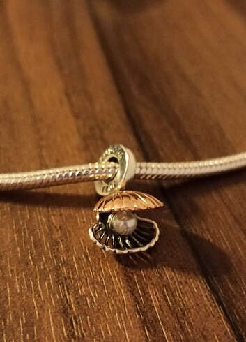 Beden Deniz kabuğu Charm