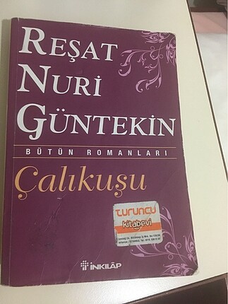 Çalıkuşu roman